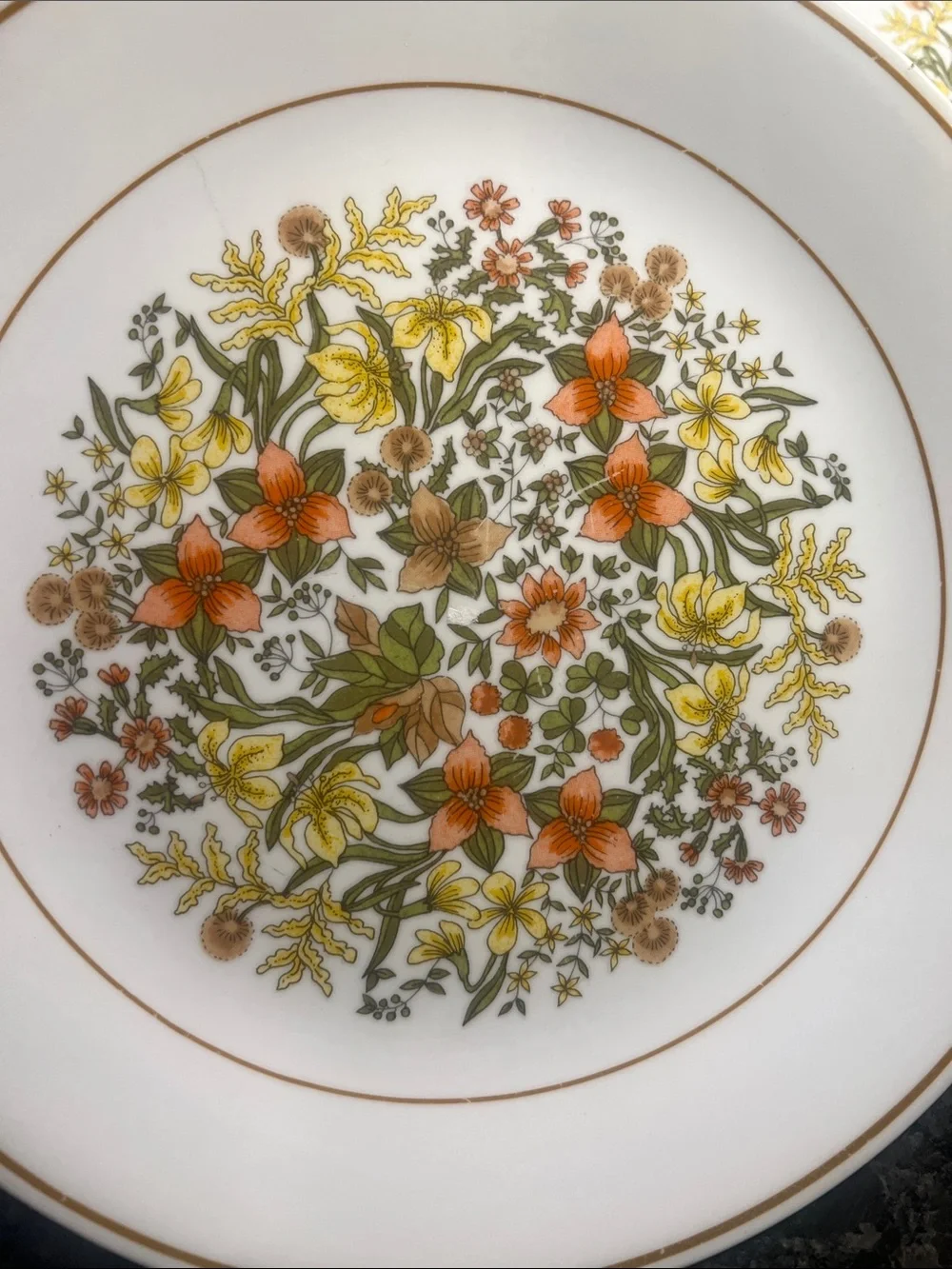 Corelle Indian Summer  Floral Dinner Plate. Great condition. 10.4 “.